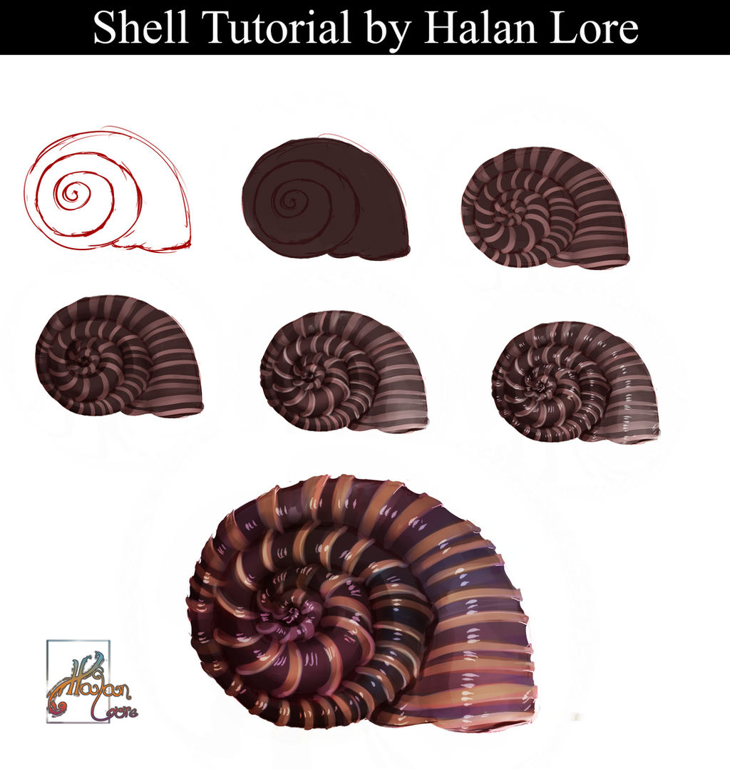 Shell Tutorial by HalanLore on DeviantArt