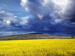 yellow fields by VaggelisFragiadakis