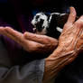 two hands of love II