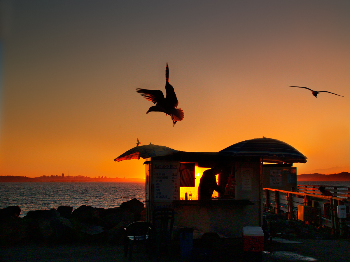 the sunset merchant