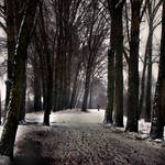 following the path by VaggelisFragiadakis