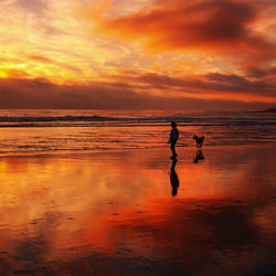 drenched in red...........