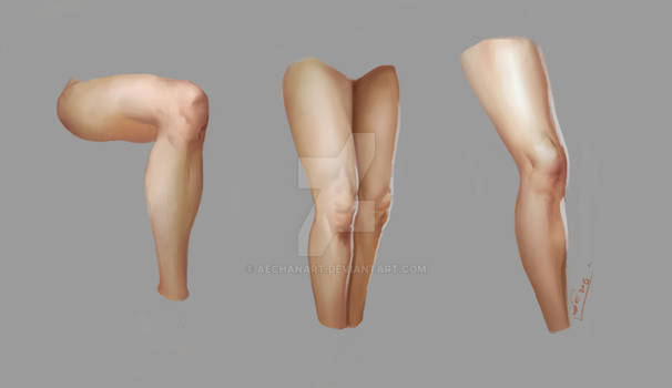 Leg Modification Deviantart Explore the Best Legs Art | DeviantArt