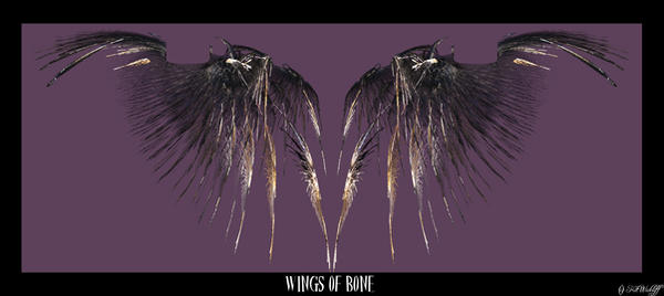 Wing of Bones