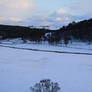 River through the snow