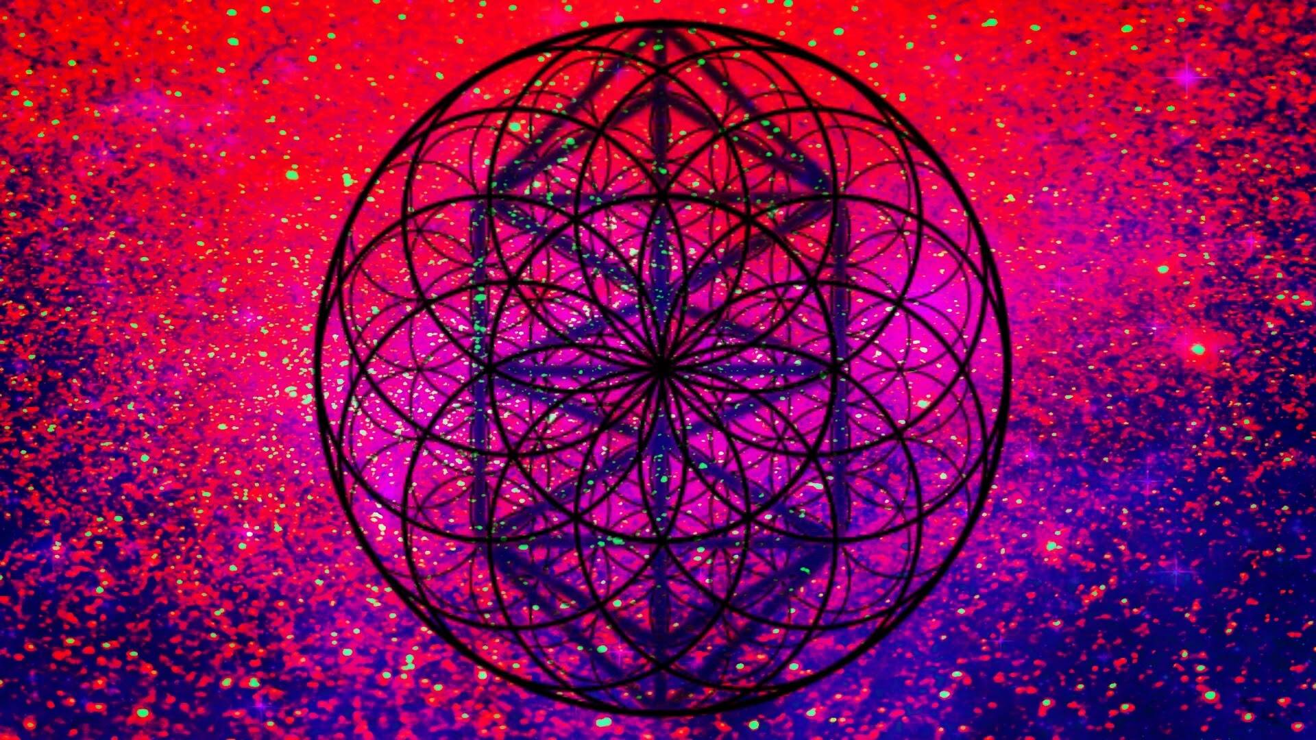 10 12 Tree Grid Torus And The Flower