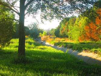 The Lonely Bridge