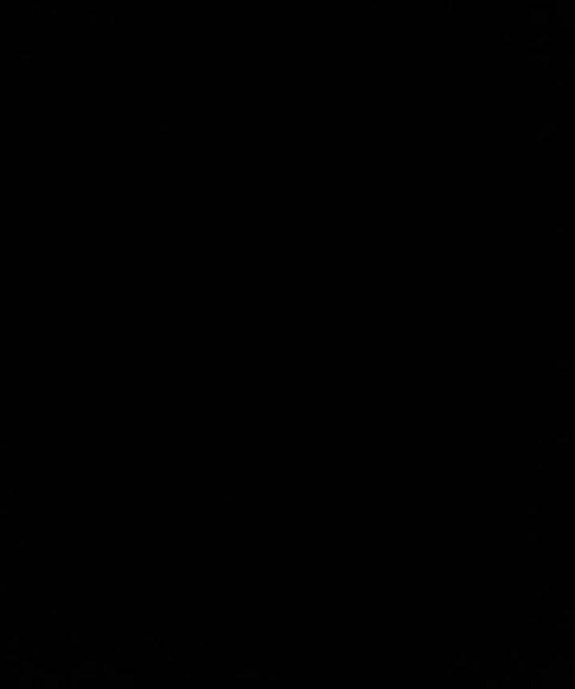 Черный цвет 000000