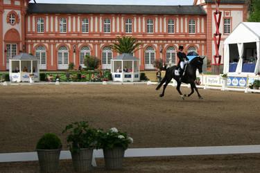 Dressage Competition Stock 20