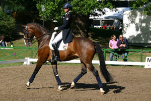 Riding Competition Stock 44