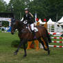 Show Jumping Stock 031