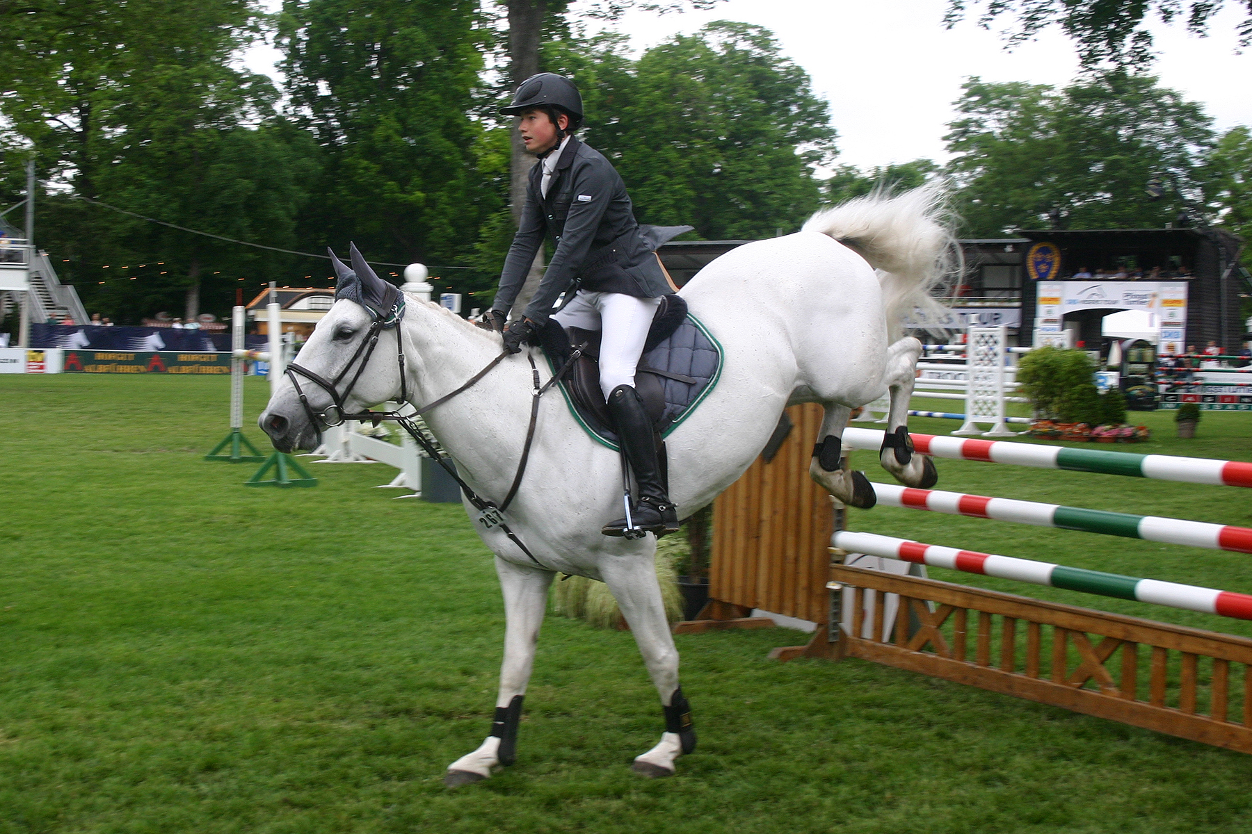 Show Jumping Stock 041