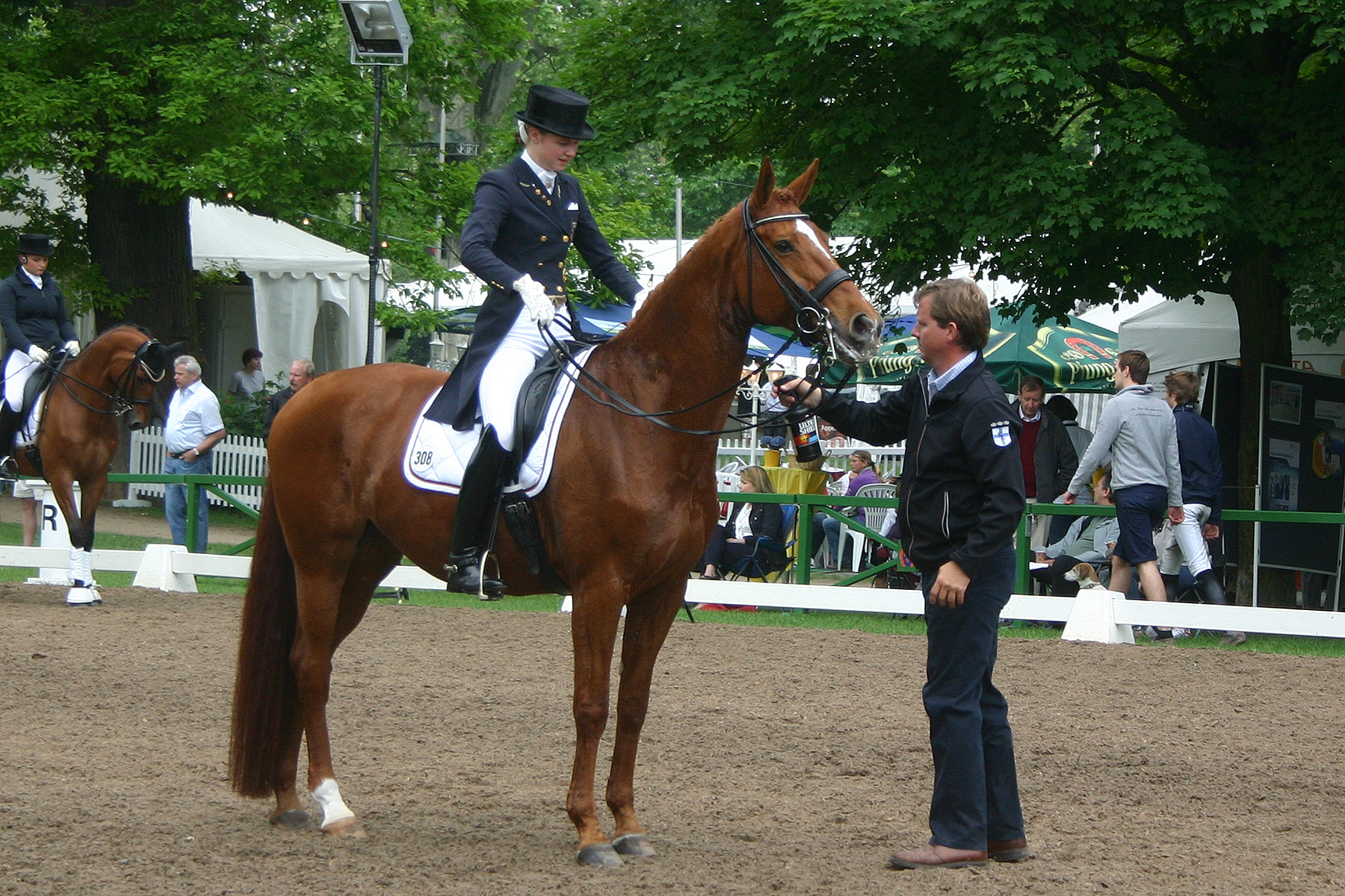 Dressage Halt  Stock 01