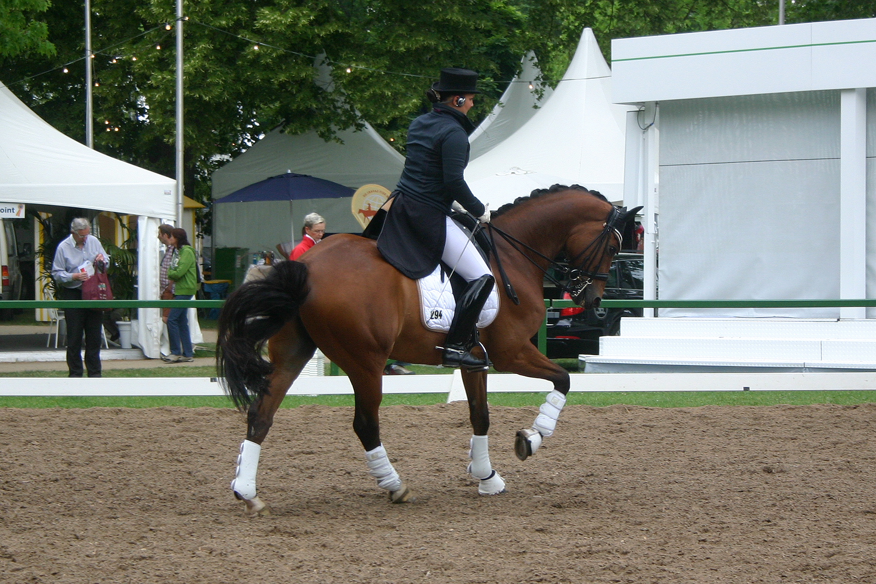 Dressage Canter Stock 03