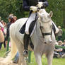 Dressage Riding Competition Stock Head Detail