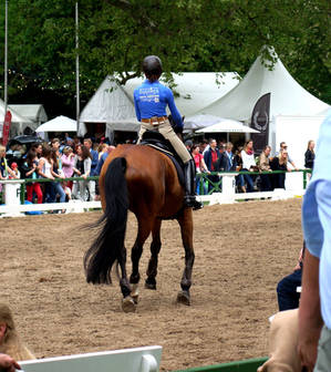 Dressage Riding Trot Half Pass