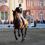 Vibrant Light Dressage Riding Canter Flying Change