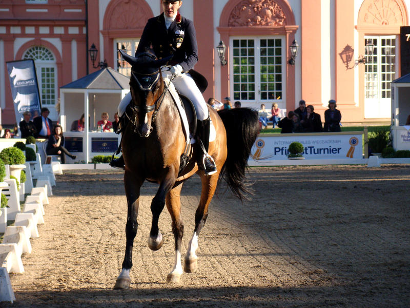 Vibrant Light Dressage Riding Canter