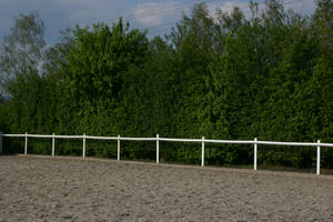 Riding Arena Equestrian Stock