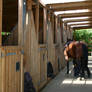 Equestrian Facility Stock - Stable Aisle