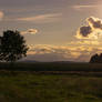 Meadow Pasture Landscape 2