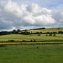 Meadow Pasture Landscape 4