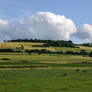 Meadow Pasture Landscape 3