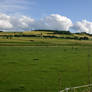 Meadow Pasture Landscape 2