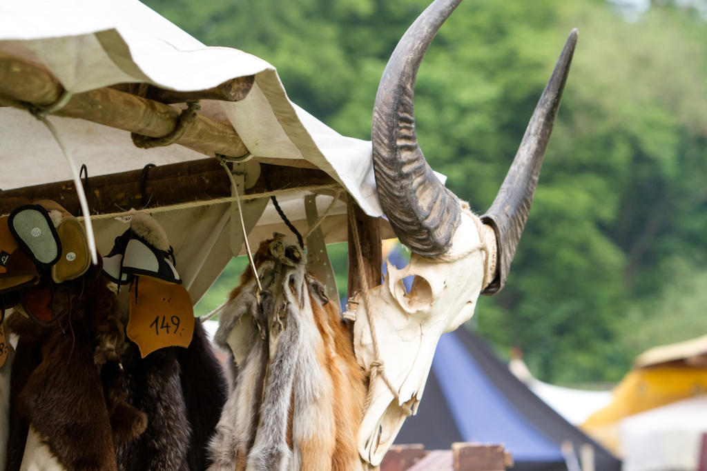 Bovine Skull Medieval Market Fur by LuDa-Stock