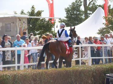 Racehorse and Jockey in the Parade Ring