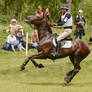 Eventing Stock - Canter plus Reins