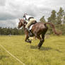 Eventing Wide Angle - Full Speed Gallop 08