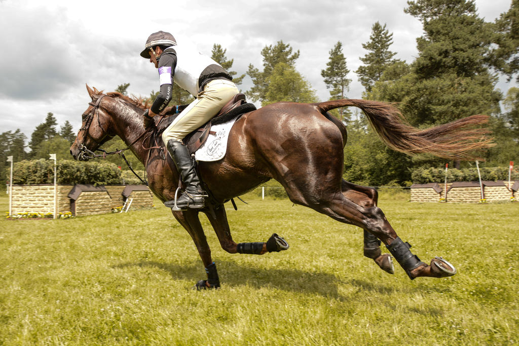 Eventing Wide Angle - Full Speed Gallop 09 Fly By