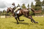 Eventing Wide Angle - Full Speed Gallop 09 Fly By by LuDa-Stock