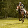Eventing Stock - Full Speed Gallop 04