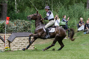 3DE Cross Country Brush Fence Series