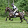 3DE Cross Country Brush Fence Series