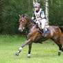 3DE Cross Country Speed Up Galop