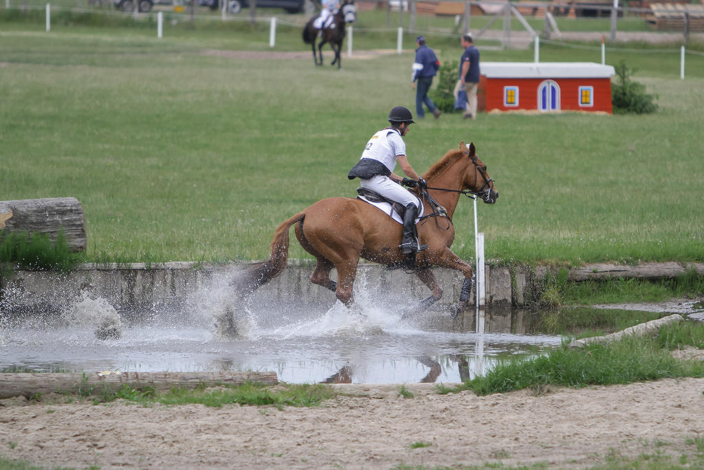 Full Speed Through the Pond