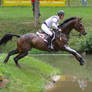3DE Cross Country Water Obstacle Series X/16