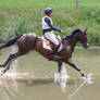 3DE Cross Country Water Obstacle Series VI/22