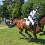 3DE Cross Country Ingrid Klimke FRH Escada