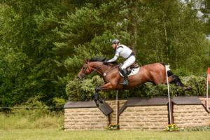 3DE Cross Country Ingrid Klimke Hale Bob 29