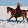 Medieval Woman on Horse Winter Pilgrims I