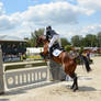 3DE Luhmuehlen Show Jumping Lift Off Series 09