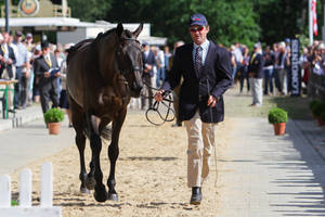 Horse Inspection at Luhmuehlen Eventing