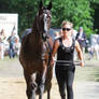 TB Lost Prophecy Vet Check Trot II