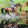 DHL Water Obstacle Series Bay Gelding Pt 5