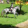 3DE Eventing Stock Water Combination Entrance