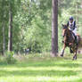 On the Cross Country Track II